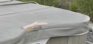 Dimension One Spa Parts – Easy Spa Parts – Cover Shield